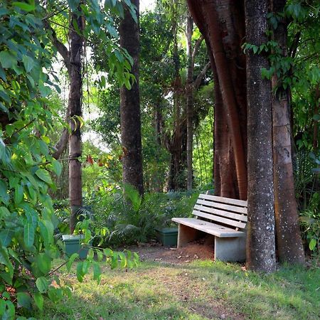 Saffronstays Coorg Toddy Farms, Coorg Madikeri Buitenkant foto