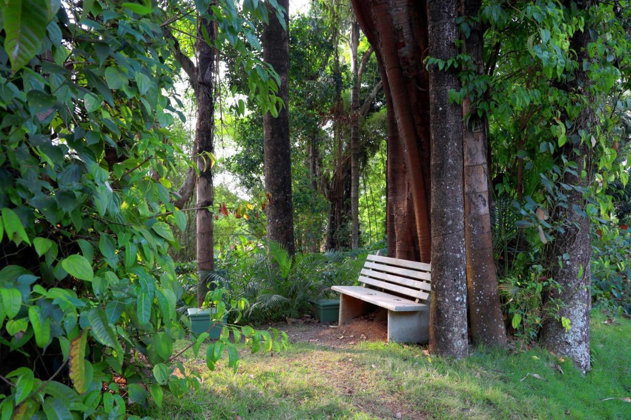 Saffronstays Coorg Toddy Farms, Coorg Madikeri Buitenkant foto