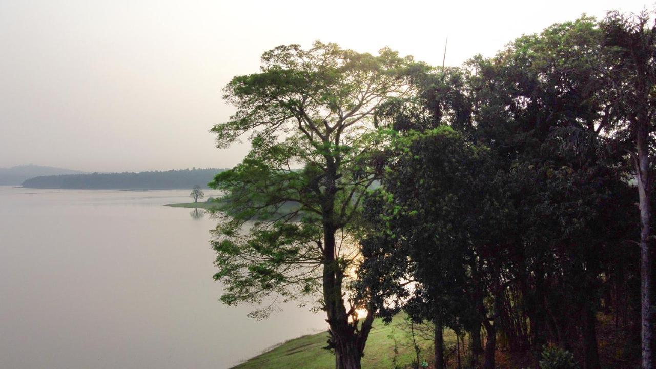 Saffronstays Coorg Toddy Farms, Coorg Madikeri Buitenkant foto