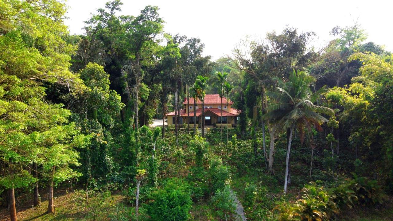 Saffronstays Coorg Toddy Farms, Coorg Madikeri Buitenkant foto